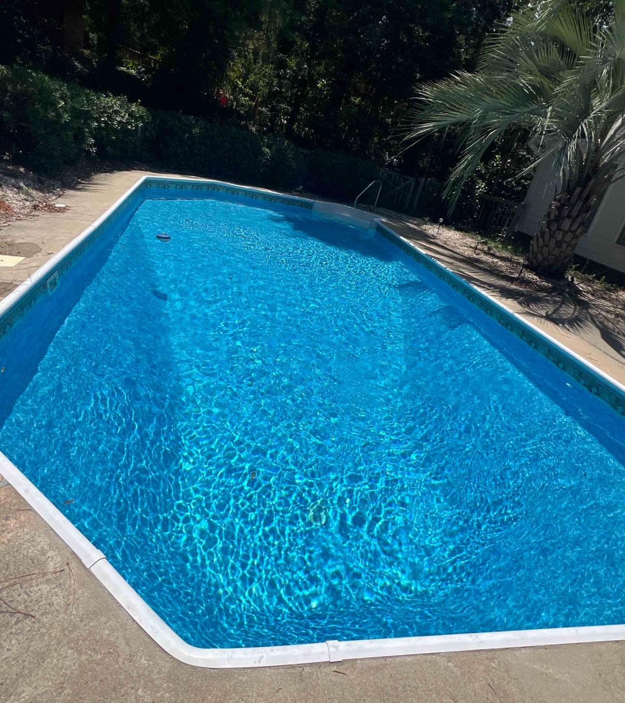Bright blue rectangular backyard pool after service.